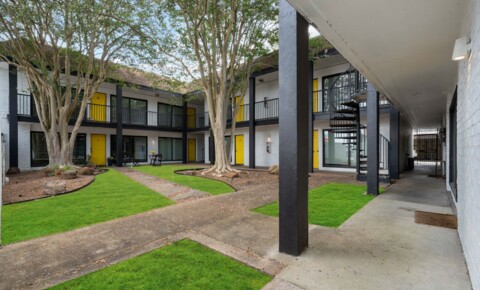 Apartments Near St. Thomas ALTA3-1507 California for University of St Thomas Students in Houston, TX