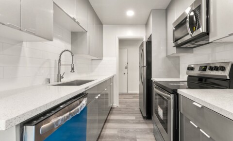 Apartments Near Redwood City Completely Remodeled 1BD/1BA in Belmont Hills for Redwood City Students in Redwood City, CA