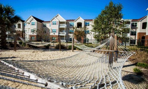 Apartments Near Miller-Motte College-Wilmington CAROLINA COVE for Miller-Motte College-Wilmington Students in Wilmington, NC