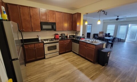 Apartments Near Huston-Tillotson University 1 Bedroom w/ Parking - West Campus - 6 Month Sub-let for Huston-Tillotson University Students in Austin, TX