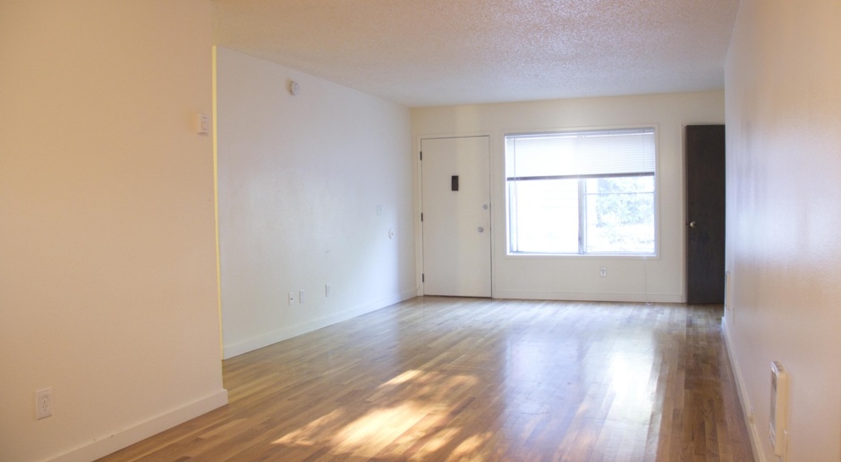 Upper level 2 bed, hardwoods, dishwasher, all dogs welcome!
