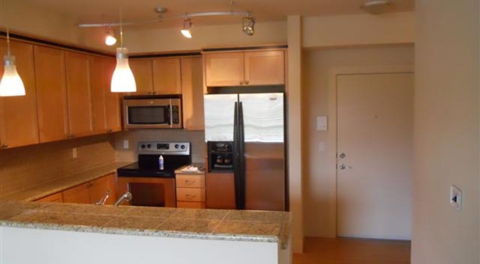 1 Bedroom in Downtown Tacoma