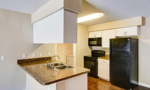 Apartments Near USF 8802 Brennan Circle for University of South Florida Students in Tampa, FL