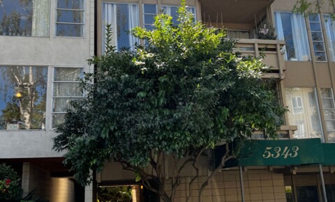 Apartments Near Martinez 301 Broadway Terrace for Martinez Students in Martinez, CA