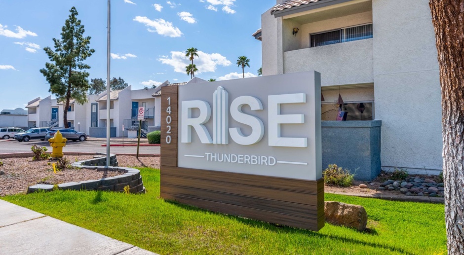 Rise Thunderbird