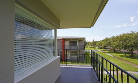 Apartments Near Tampa The Astoria - Sabal for Tampa Students in Tampa, FL