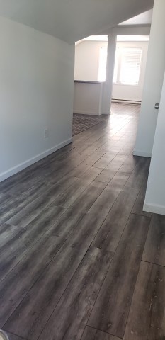 $1400 / 4br - 1200 sq ft - University of Minnesota - 4 Br Avail 9/1 Some utilities