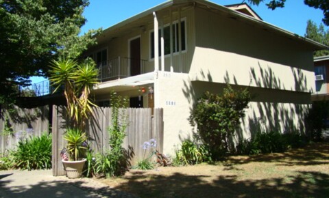 Apartments Near Santa Clara 2315 Pauline Drive for Santa Clara University Students in Santa Clara, CA