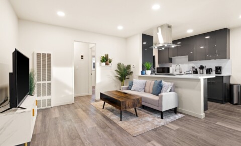 Apartments Near De Anza 1 BD Newly Renovated apartment in Campbell, Pet Friendly! for De Anza College Students in Cupertino, CA