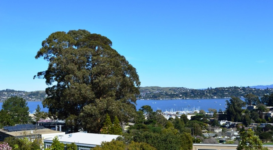 Beautifully Updated, 900 Sq Ft Sausalito Condo with Water View