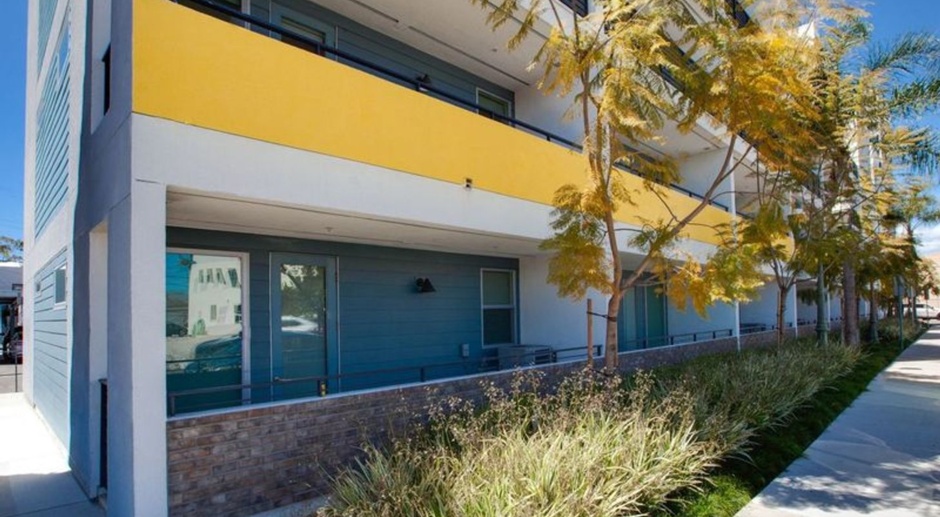 Huge 1bed, Open Floor Plan, W/D in-unit + parking: Chula Vista at 3rd St.