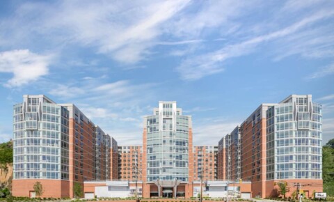 Apartments Near Jersey College The Duchess for Jersey College Students in Teterboro, NJ