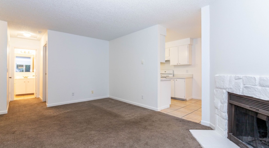 Spacious One Bedroom with Fireplace!  Free Parking!  