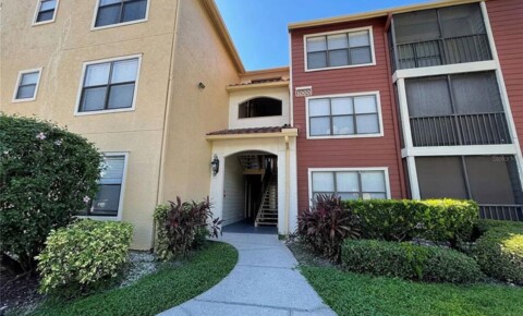 Apartments Near SPC One Bedroom Apartment in Resort Style Community for St. Petersburg College Students in Clearwater, FL