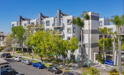 Apartments Near Oxy Midvale Apartments for Occidental College Students in Los Angeles, CA