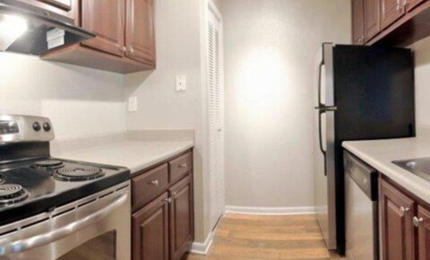 Apartments Near USF 5000 S Himes Avenue for University of South Florida Students in Tampa, FL