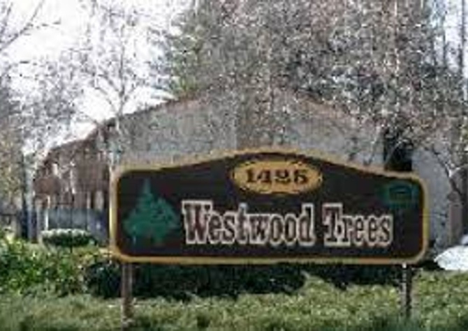 Apartments Near 034 - Westwood Trees