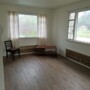 Cozy 1 Bed, 1 Bath Unit in Lansing | Available 3/15 | $775/mo