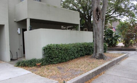 Apartments Near South University-Tampa Ground Floor 2BD/2BTH Condo Steps Away From Hyde Park Village & Bayshore Blvd! for South University-Tampa Students in Tampa, FL