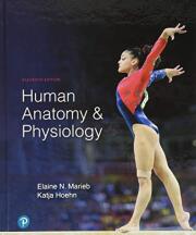 Human Anatomy & Physiology