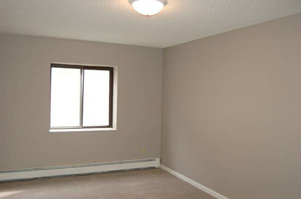 Updated All New 3 Bedroom FREE Parking! Internet! Heat! Water! 