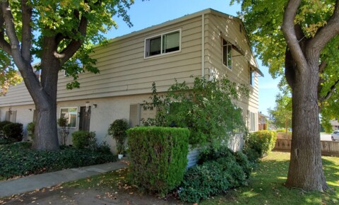Apartments Near Heald College-San Jose Opal for Heald College-San Jose Students in Milpitas, CA