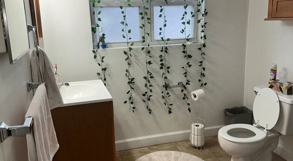 Unique 2 Bedroom 1 Bathroom Garden Apartments
