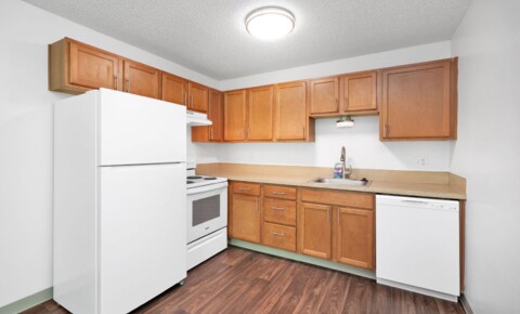 Houses Near UP Beautiful 1 bedroom 1 Bath! for University of Portland Students in Portland, OR