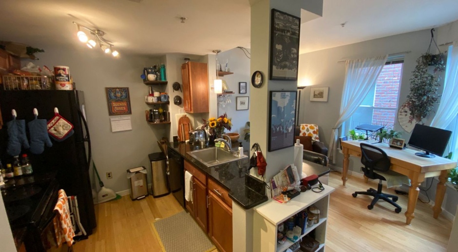 Charming, Spacious and Sunlit 1 BD, 1 BA 3rd Floor Walk-up in Columbia Heights NW!!!