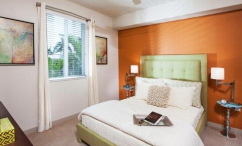 Apartments Near Everglades University 320 Franklin Club Drive for Everglades University Students in Boca Raton, FL
