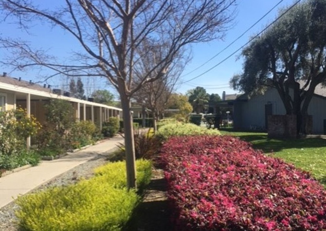 Apartments Near Wonderful light and bright, immaculate 2 bd 1 bath in Peaceful 55+ Community in San Ramon!