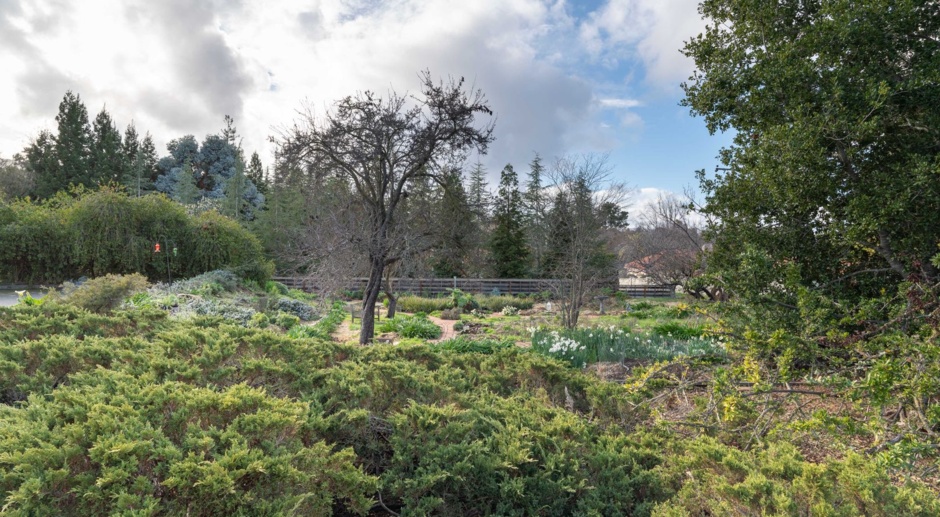 Newly Updated Sprawling Estate on One of Monte Sereno's Most Coveted Streets