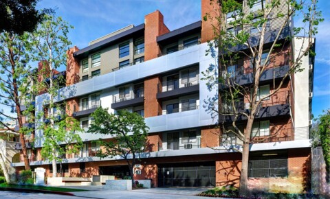 Apartments Near LMU El Greco Lofts for Loyola Marymount University Students in Los Angeles, CA