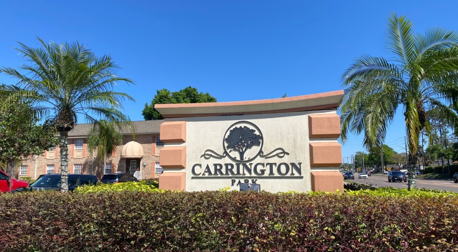 1/1 Newly Renovated Carrington Park Condo for Rent In Maitland