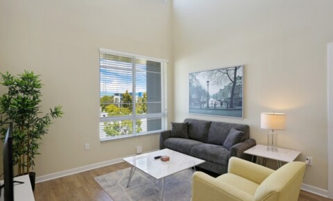 Apartments Near CUI Fully Furnished Student Apartment  for Concordia University Irvine Students in Irvine, CA